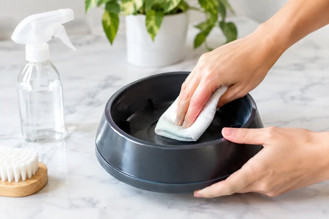 Nettoyer une gamelle anti fourmis sans erreur