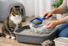 À quelle fréquence changer la litière de chat ?