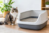 Bac à litière XXL : bien choisir pour son chat