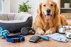 Guide d’entretien des accessoires pour chien