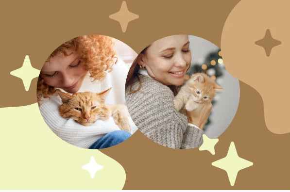 Nouveau gadget pour propriétaire de chats!