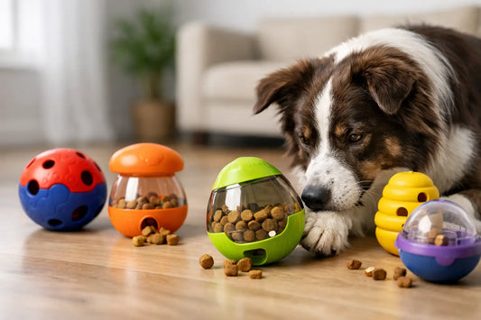 Meilleurs jouets distributeurs de friandises