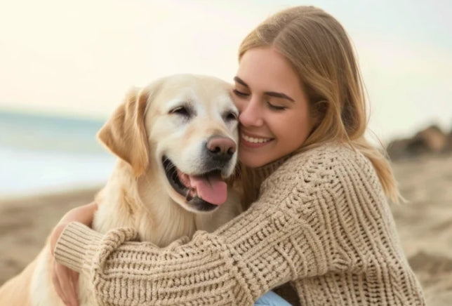 Simplifiez vos promenades avec votre chien.