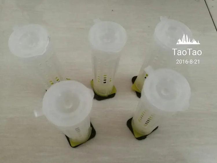100 Pcs Beekeeping Tools Fertility King Pedestal Guard Longwall Shield Queen Cage Cover By Registered Mail - WHITE