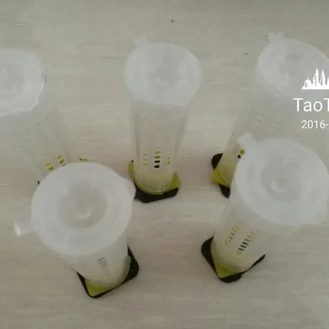 100 Pcs Beekeeping Tools Fertility King Pedestal Guard Longwall Shield Queen Cage Cover By Registered Mail - WHITE