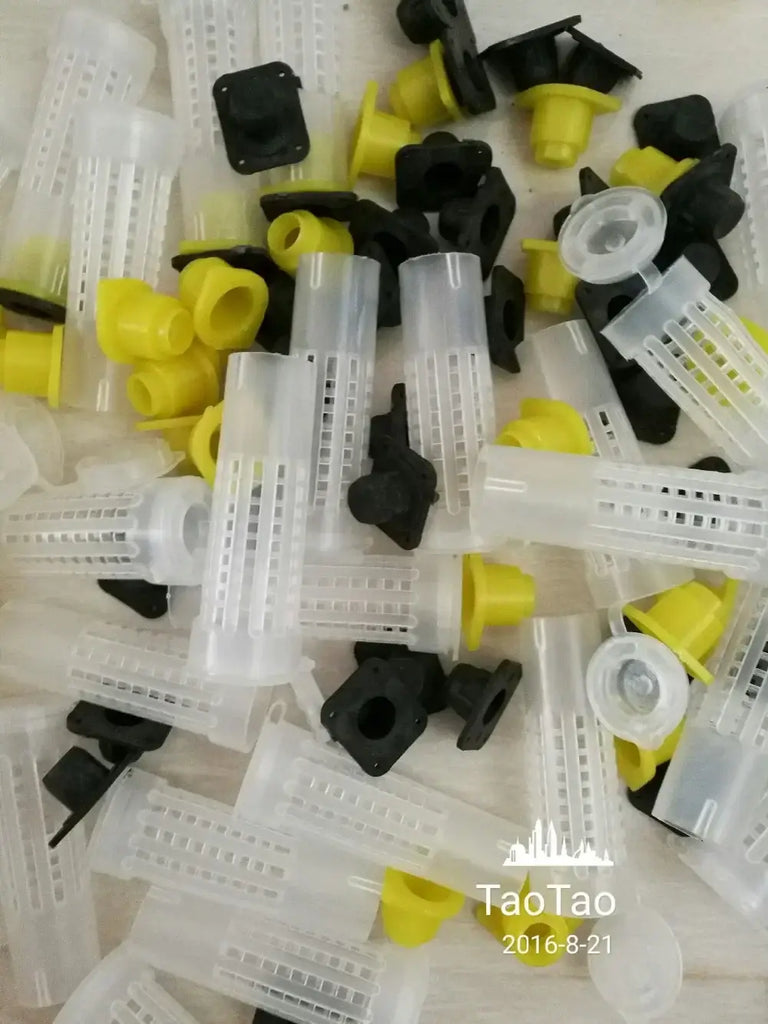 100 Pcs Beekeeping Tools Fertility King Pedestal Guard Longwall Shield Queen Cage Cover By Registered Mail - WHITE