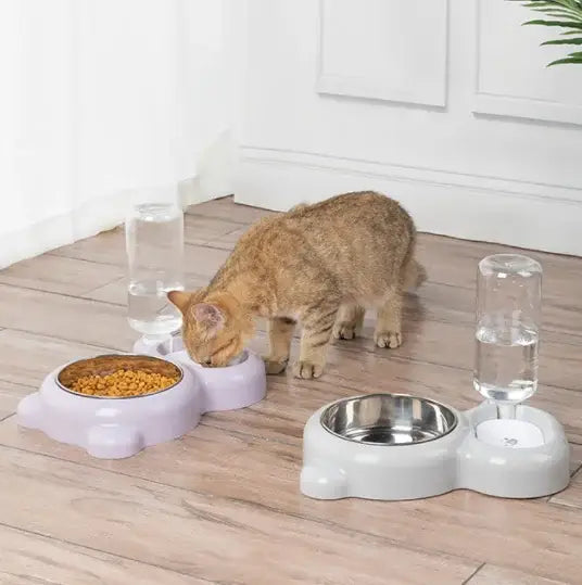 1Cat Feeding Water Dispenser Pet Water and Food Bowl Set with Automatic Water Dispenser Bottle