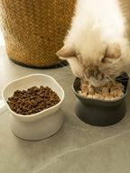 1Pc Pet bowl water and food feeder for cat and small dog