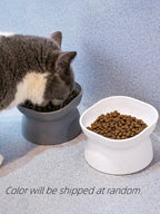 1Pc Pet bowl water and food feeder for cat and small dog