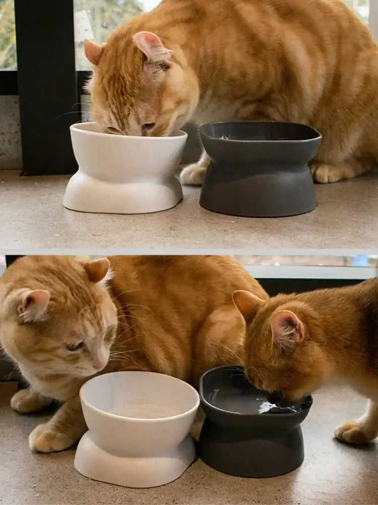 1Pc Pet bowl water and food feeder for cat and small dog