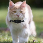 2 Kinds of Multifunctional Pet Smart GPS Trackers Cat Trackers GPS Collar Pet Kitten GPS Collar Pets Accessories iOS