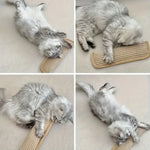 3-piece cat toy set,high-quality pet toys interactive pet pillows designed for cat owners and playful kittens.