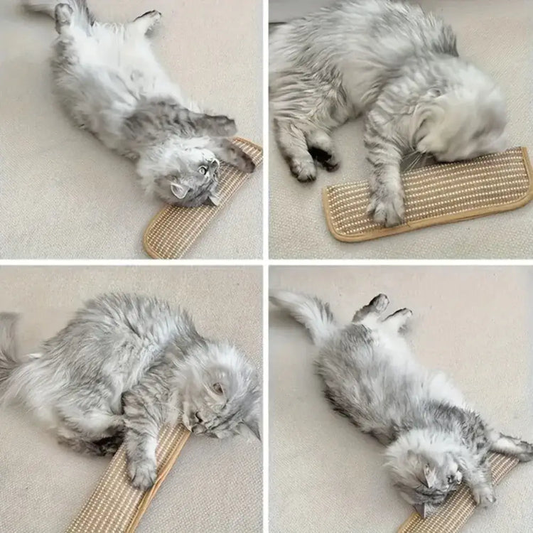 3-piece cat toy set,high-quality pet toys interactive pet pillows designed for cat owners and playful kittens.