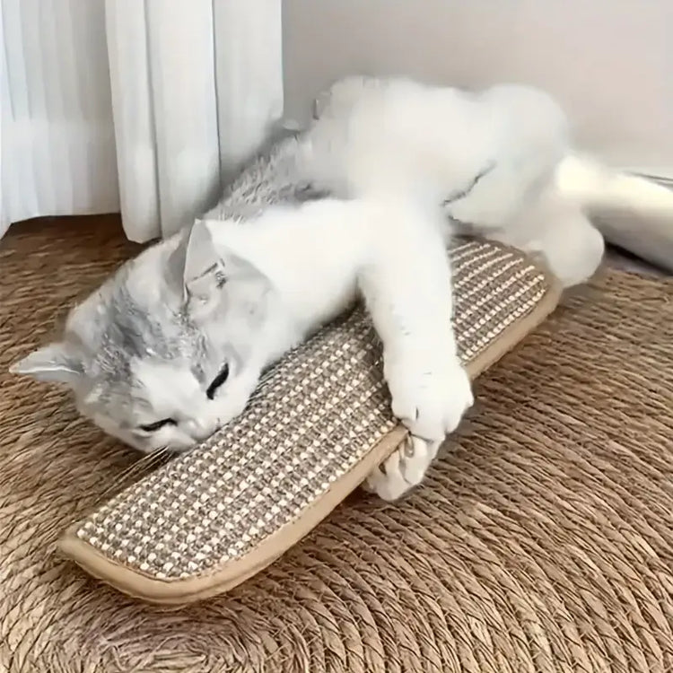 3-piece cat toy set,high-quality pet toys interactive pet pillows designed for cat owners and playful kittens.