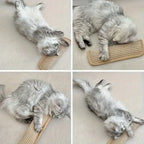 3-piece cat toy set,high-quality pet toys interactive pet pillows designed for cat owners and playful kittens.