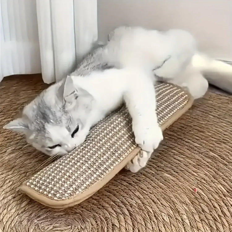 3-piece cat toy set,high-quality pet toys interactive pet pillows designed for cat owners and playful kittens.