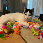 56pcs/28pcs/14pcs Cat Toys Mixed Pack. A Combination of Various Plastic Toys and Plush Toys Suitable for Multiple Cats