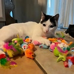 56pcs/28pcs/14pcs Cat Toys Mixed Pack. A Combination of Various Plastic Toys and Plush Toys Suitable for Multiple Cats