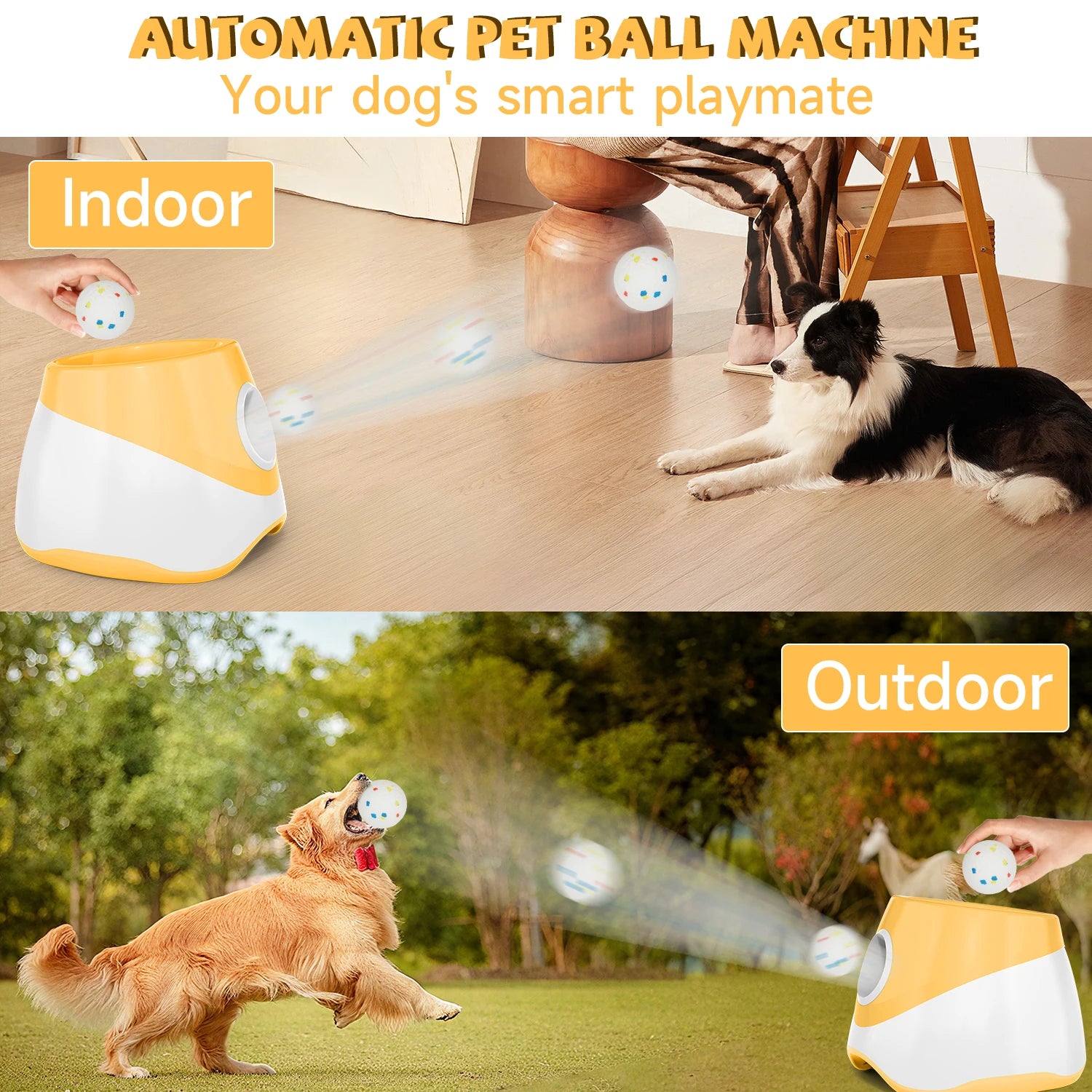 Jouet de lancer pour chien