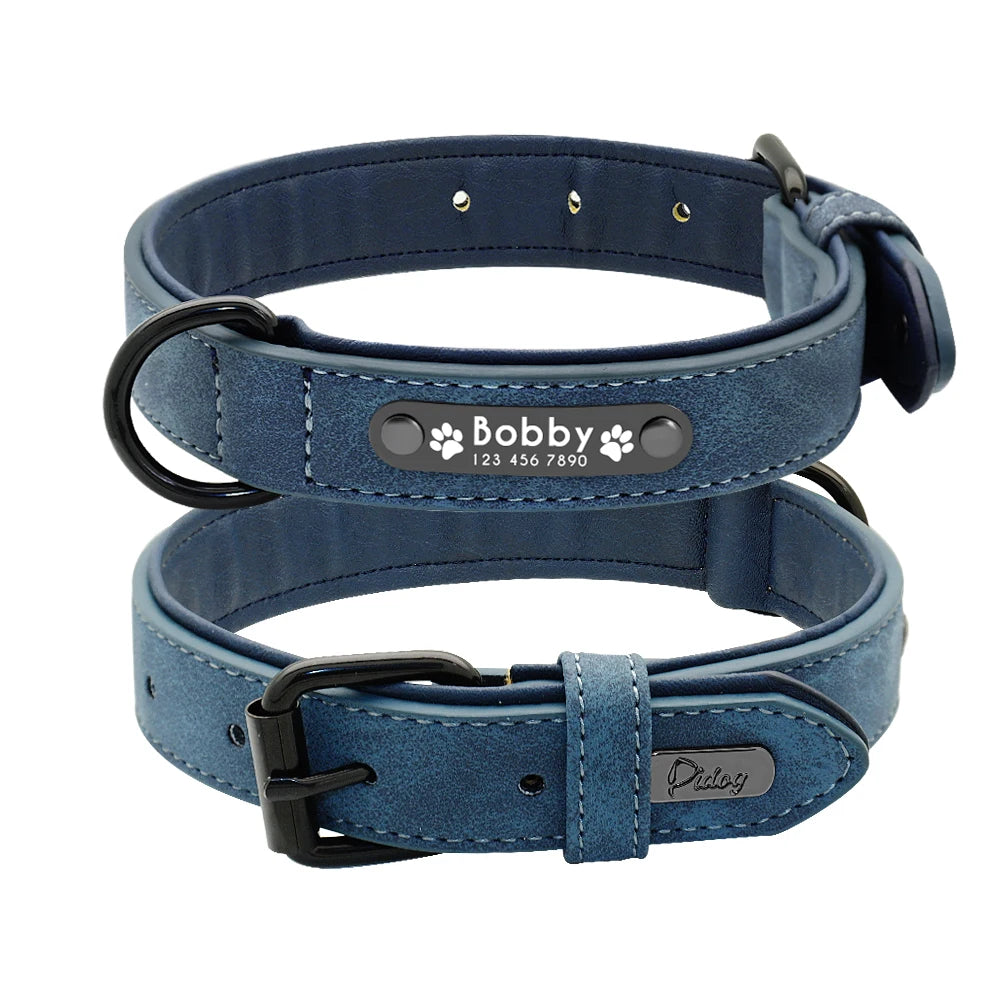 Personalized Padded Collar & Leash