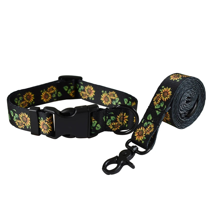 Dog Leash And Collar Set