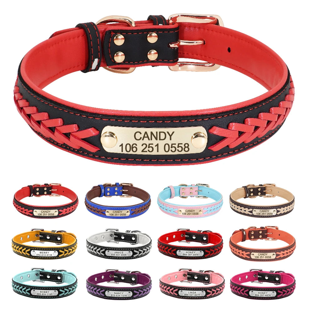 Personalized Dog Collar