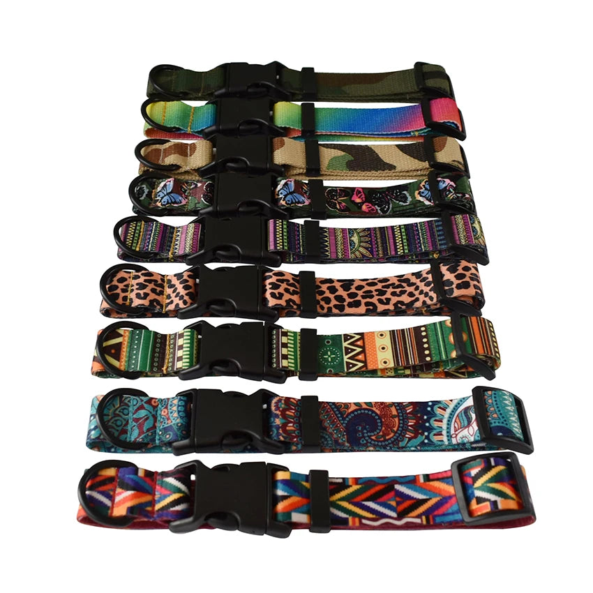 Dog Leash And Collar Set