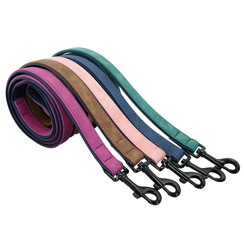 Personalized Padded Collar & Leash