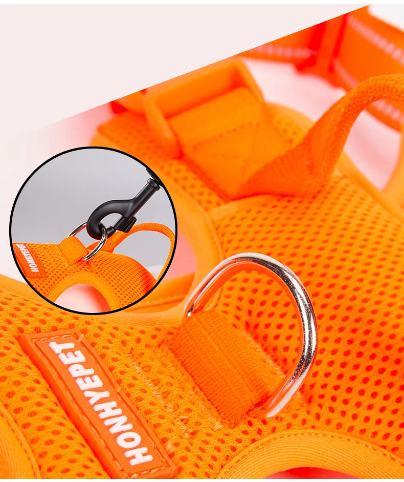 Harnais réfléchissant en nylon pour animaux