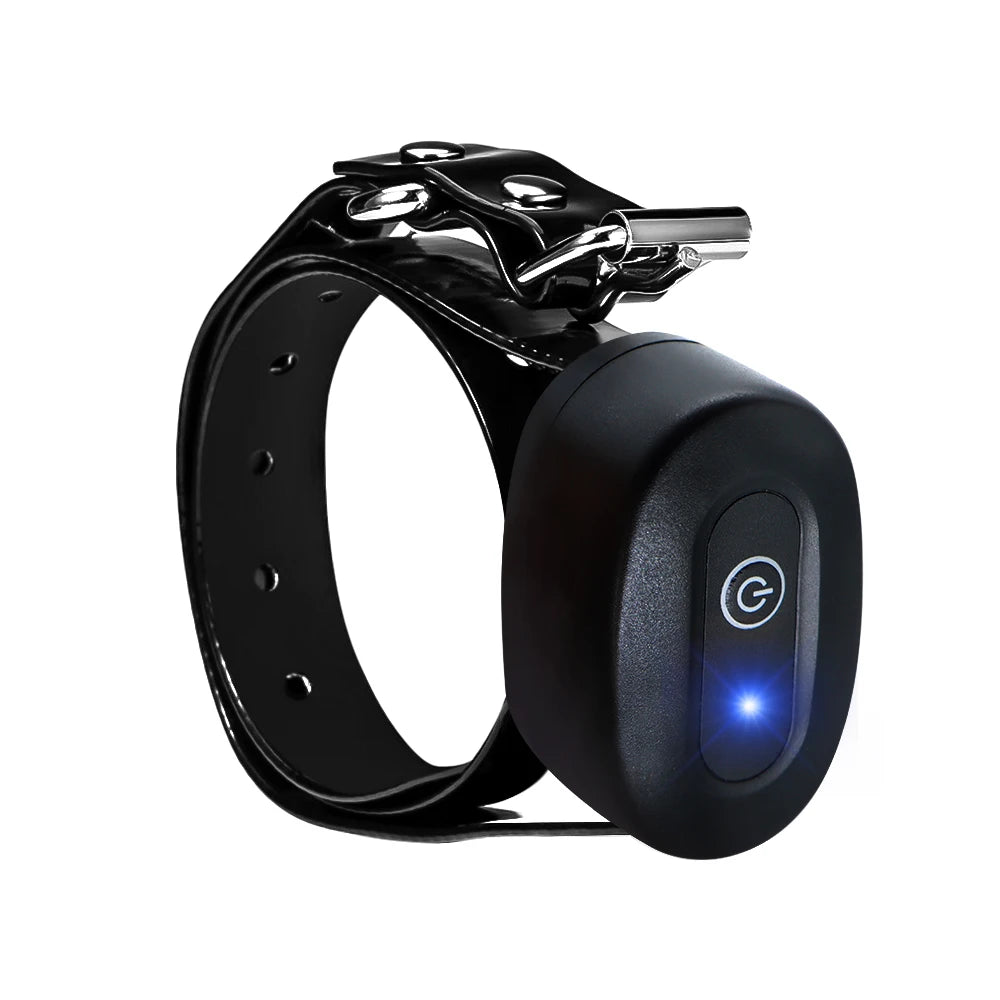 Collier de dressage pour chien à télécommande