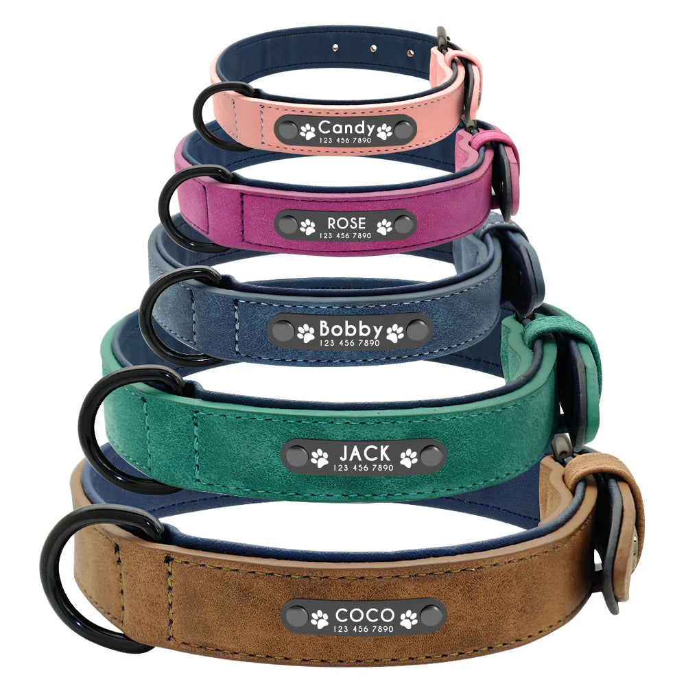 Personalized Padded Collar & Leash