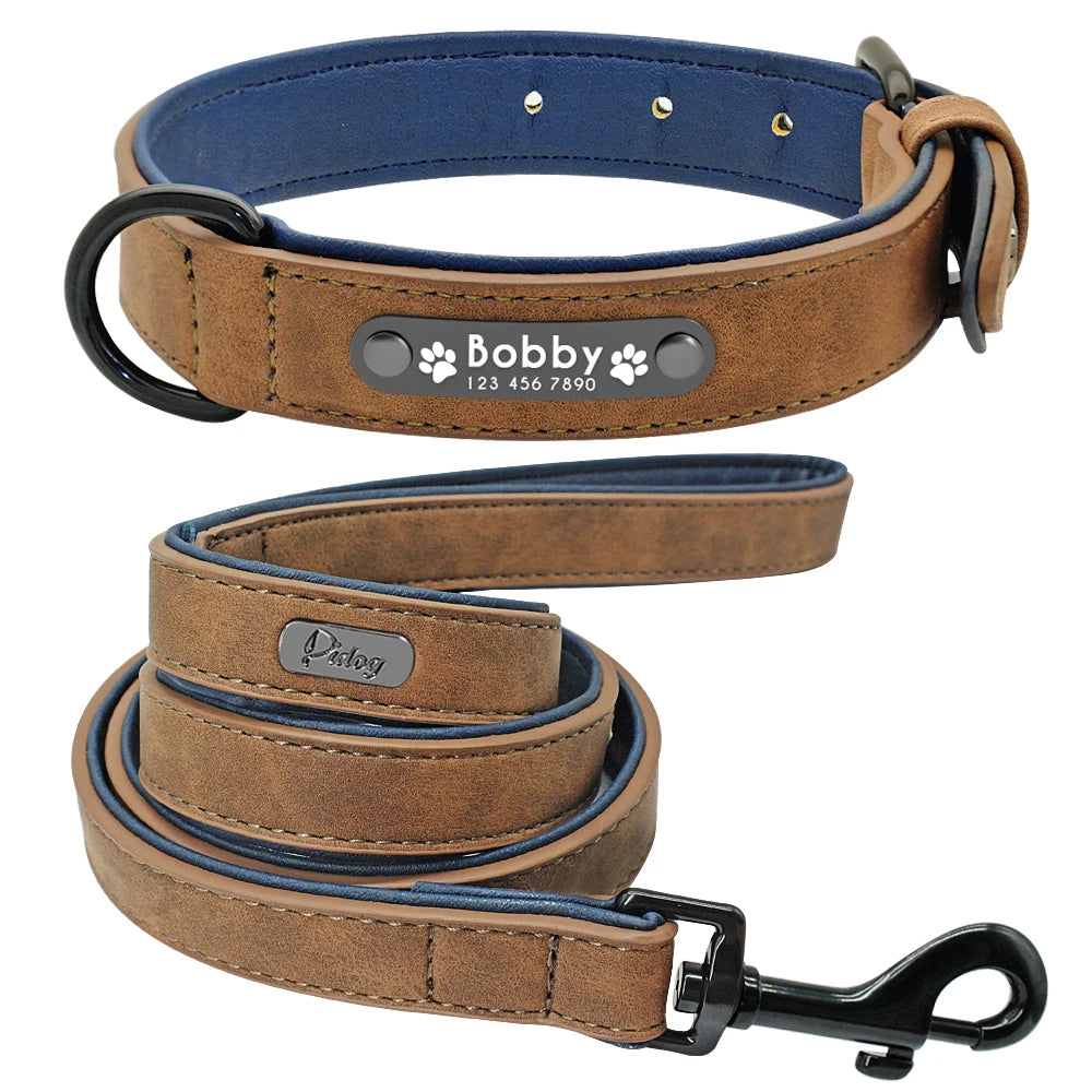 Personalized Padded Collar & Leash