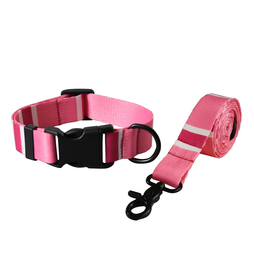 Dog Leash And Collar Set