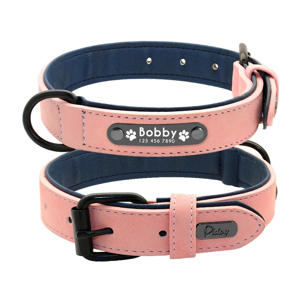 Personalized Padded Collar & Leash