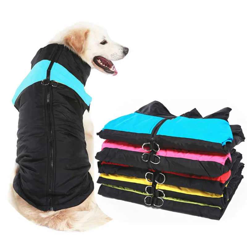Manteau d'hiver imperméable pour chien