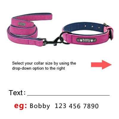 Personalized Padded Collar & Leash