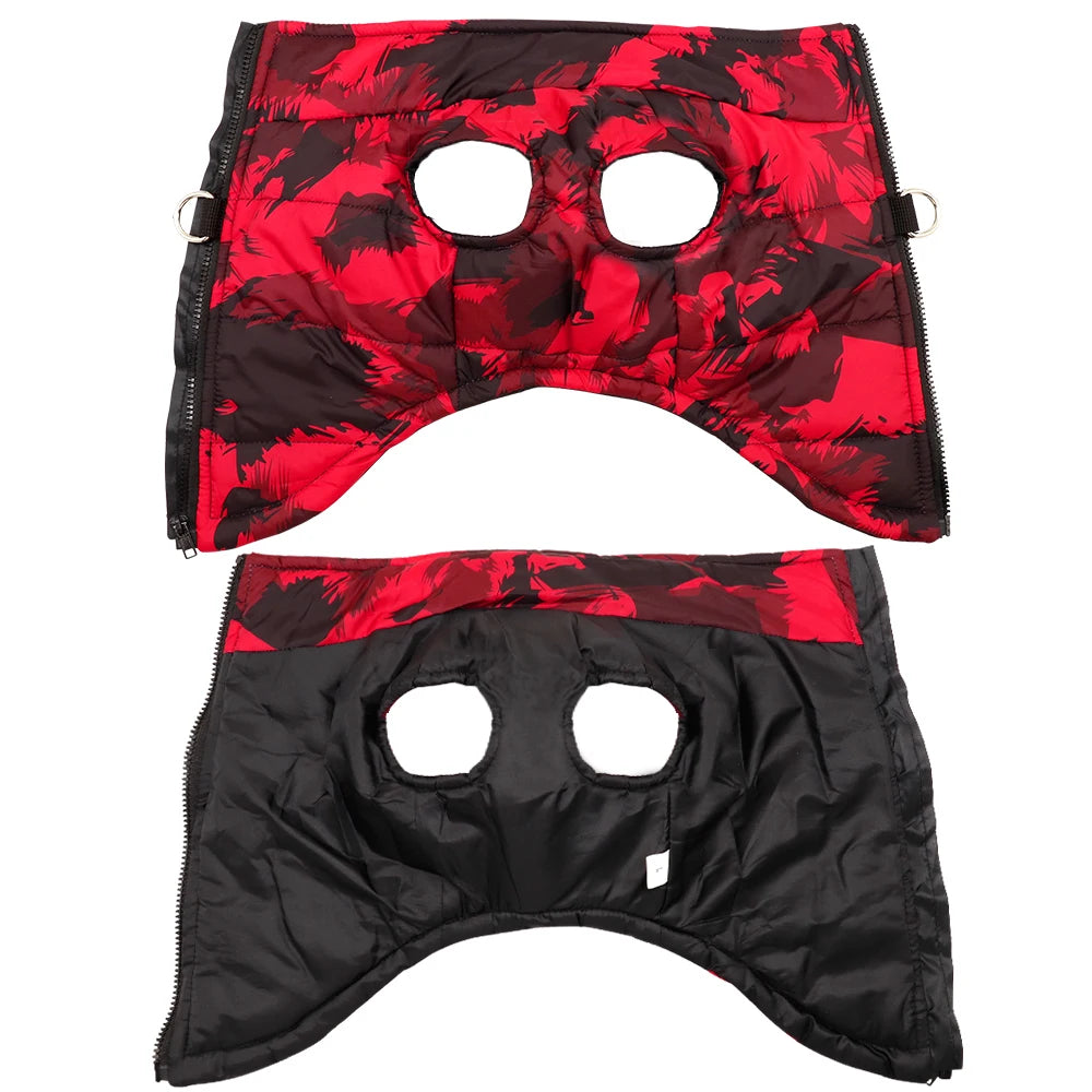 Vêtements d'hiver pour chiens