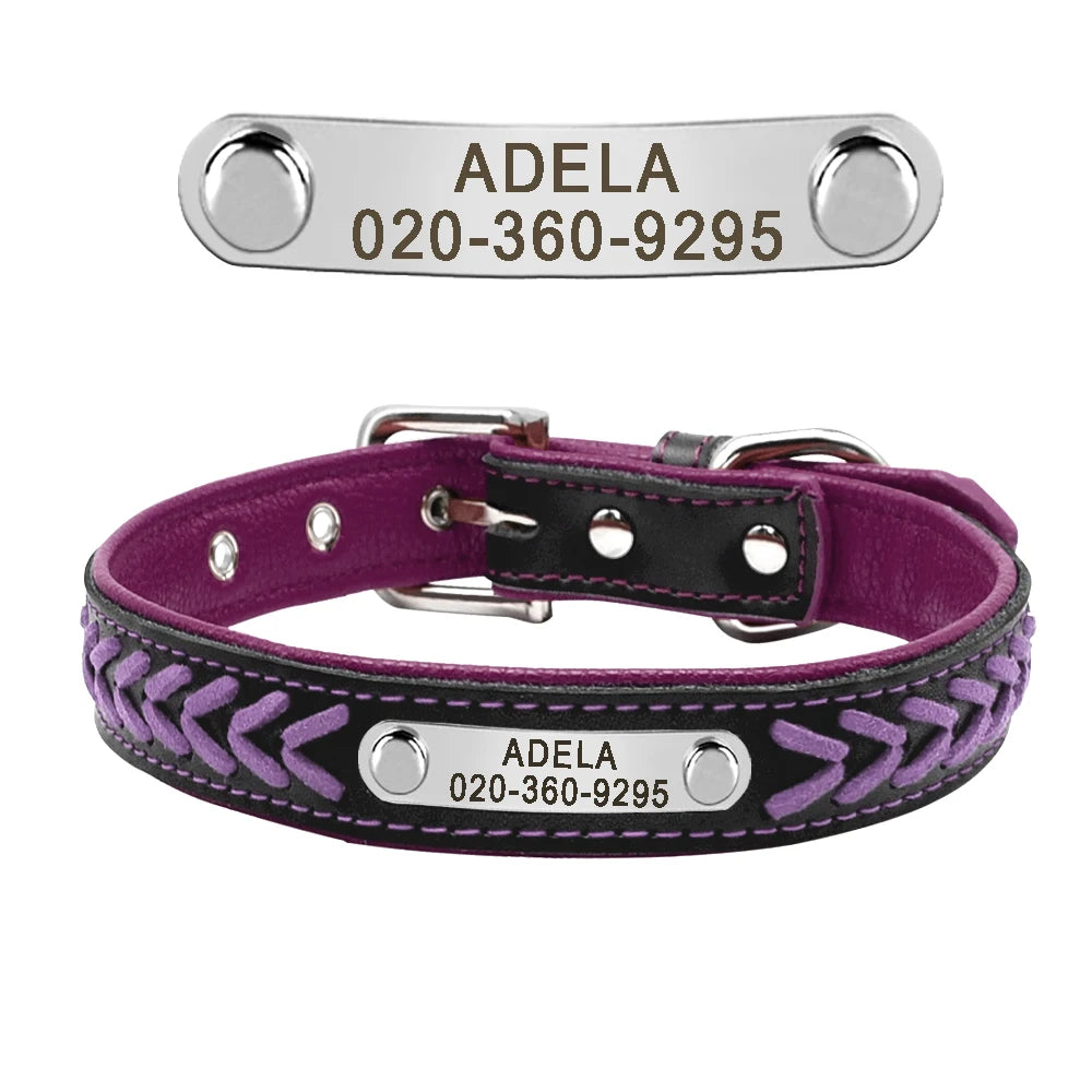 Personalized Dog Collar