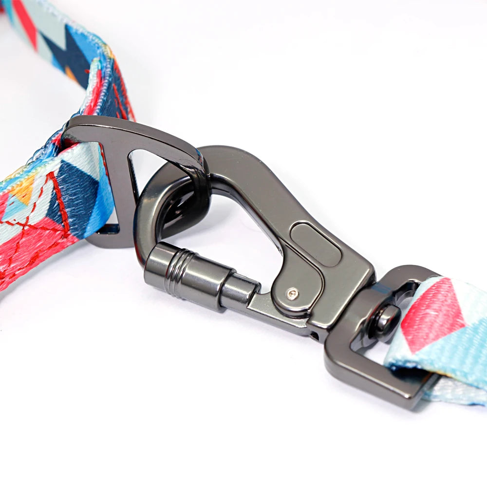 Nylon Dog Collar Leash Set