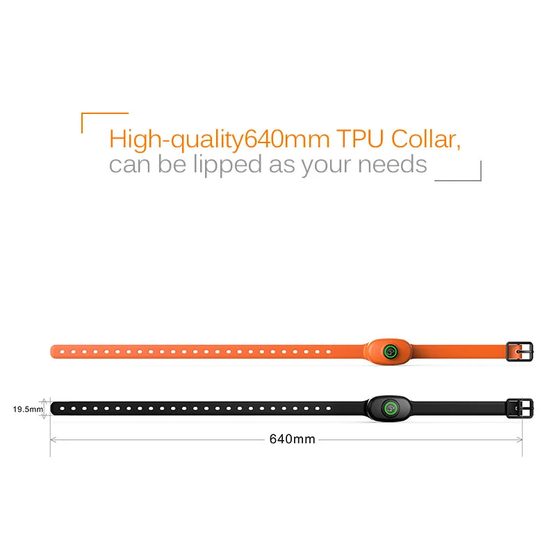 Collier anti-aboiement pour chien