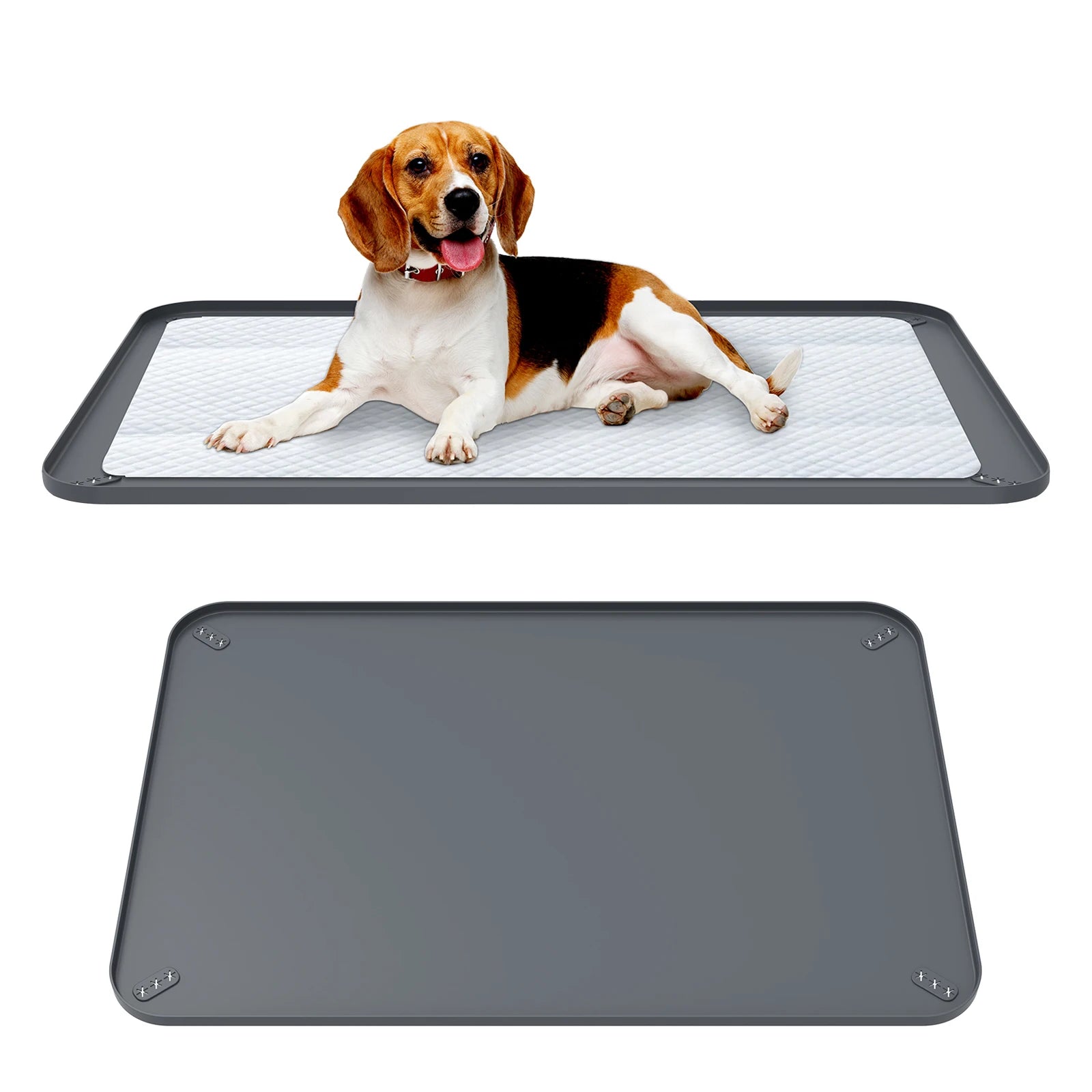 Tapis de toilette en silicone pour chien