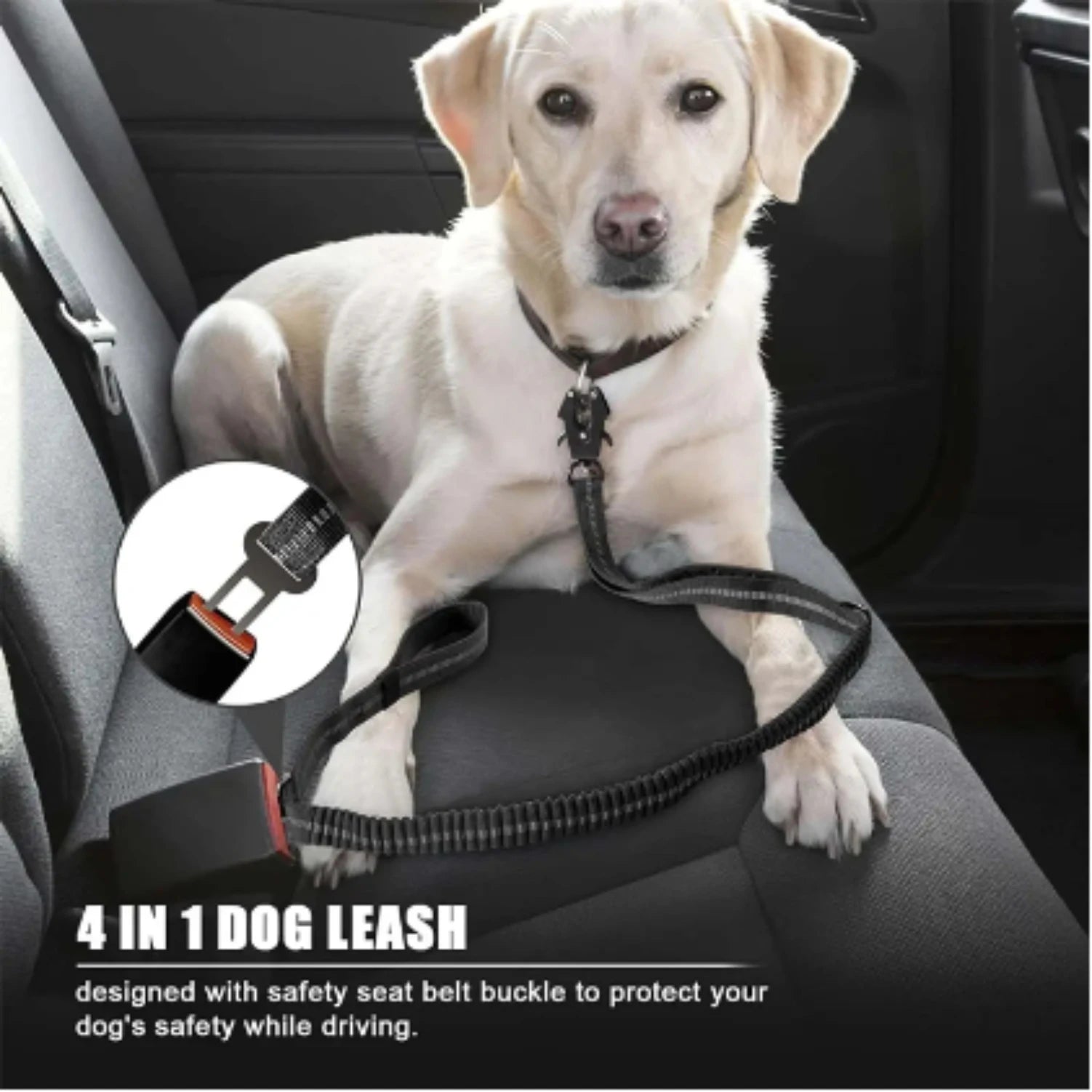 Shock Absorbing Pet Leashes