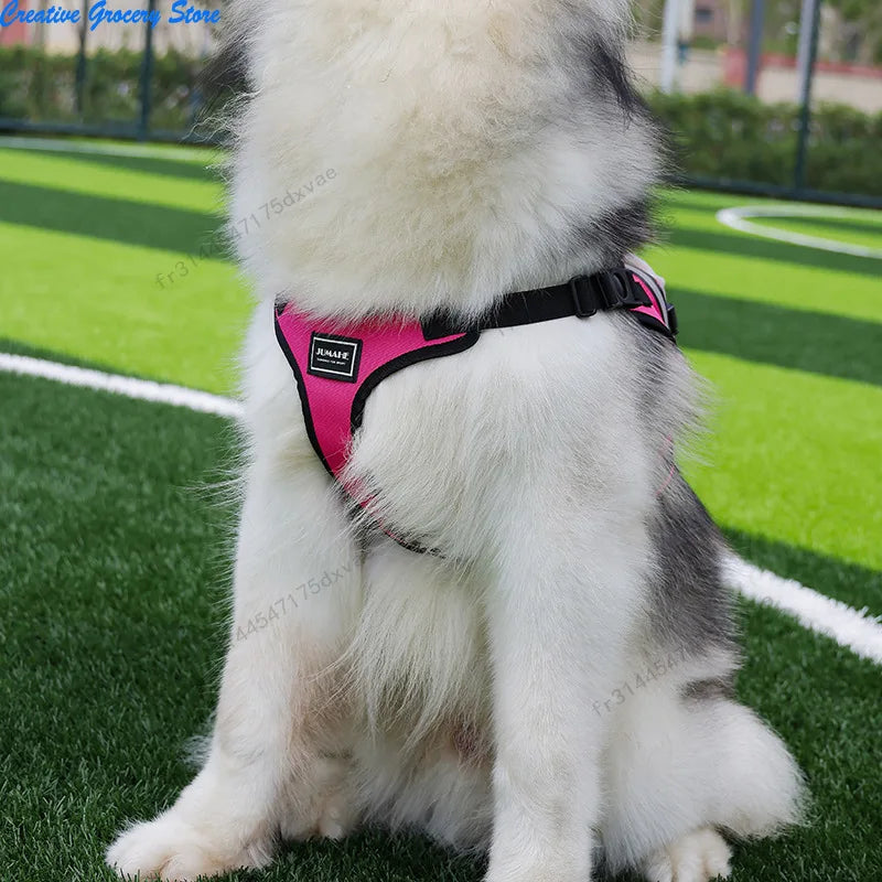 Sangle de poitrine et de dos pour animaux de compagnie