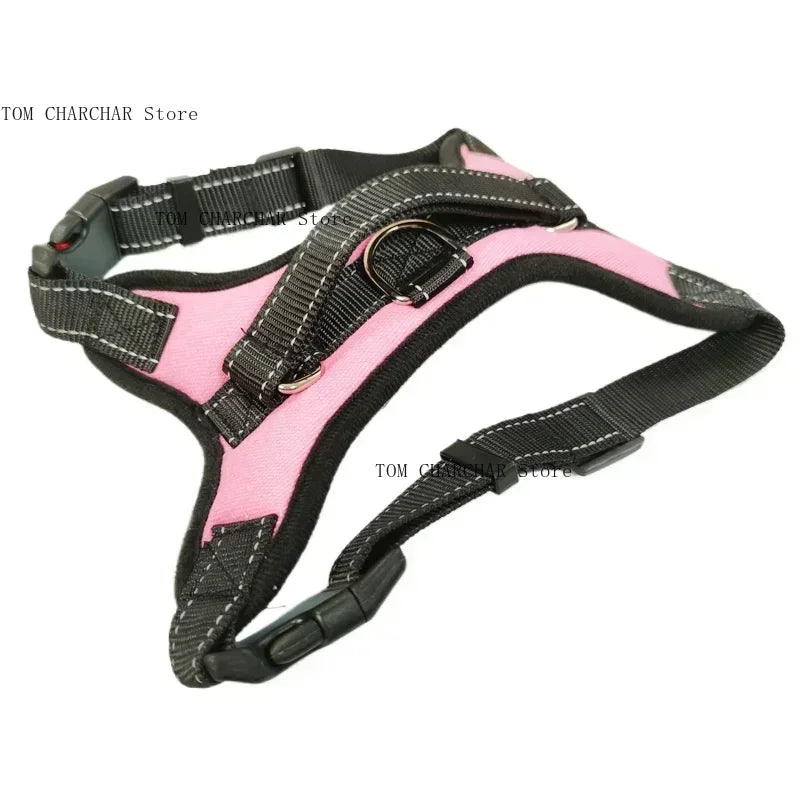 Harnais pour chien de selle