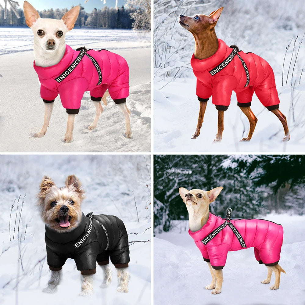 Veste chaude pour chien
