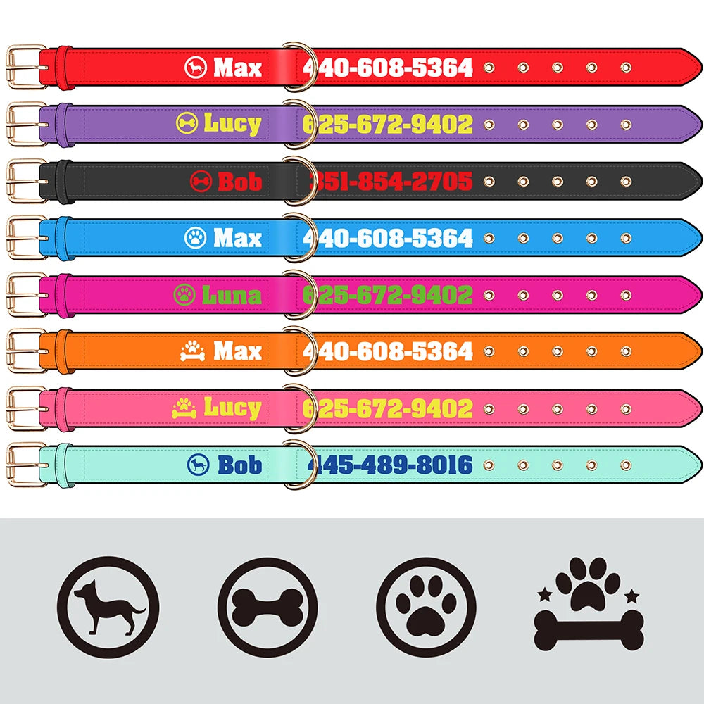 Customized Dog Collar