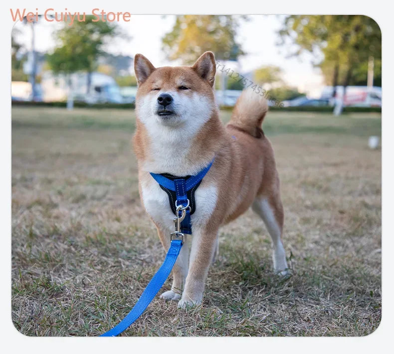 Harnais pour chien en cuir véritable résistant