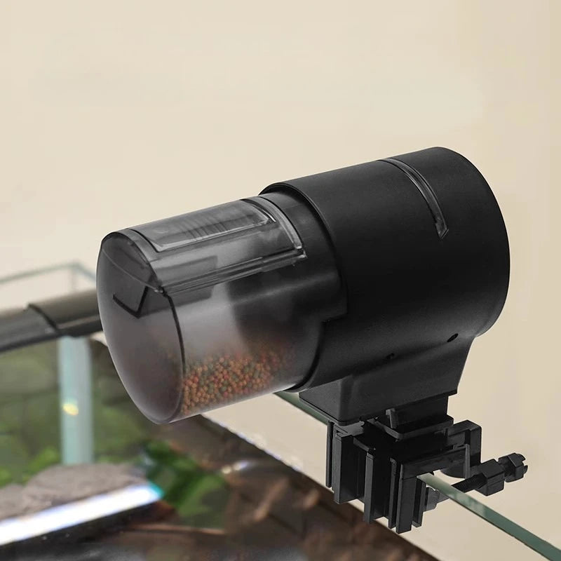 Distributeur Wi-Fi poissons automatique