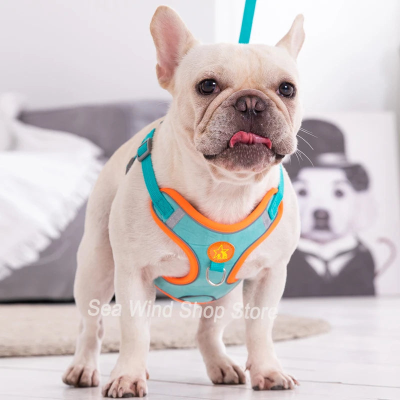 Sangle de poitrine pour chien