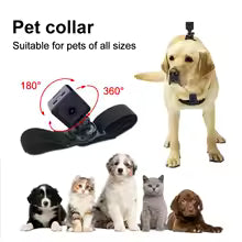 Caméra HD pour collier animaux réglable